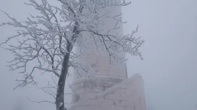 Grzegorz Lewandowski